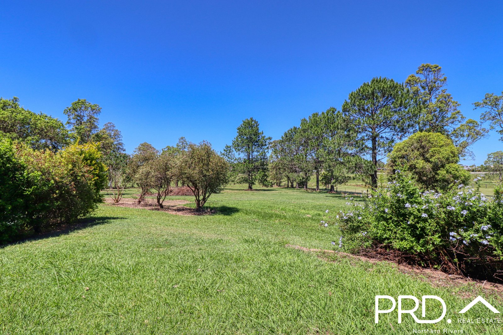 8 Forest Grove Road FAIRY HILL 5