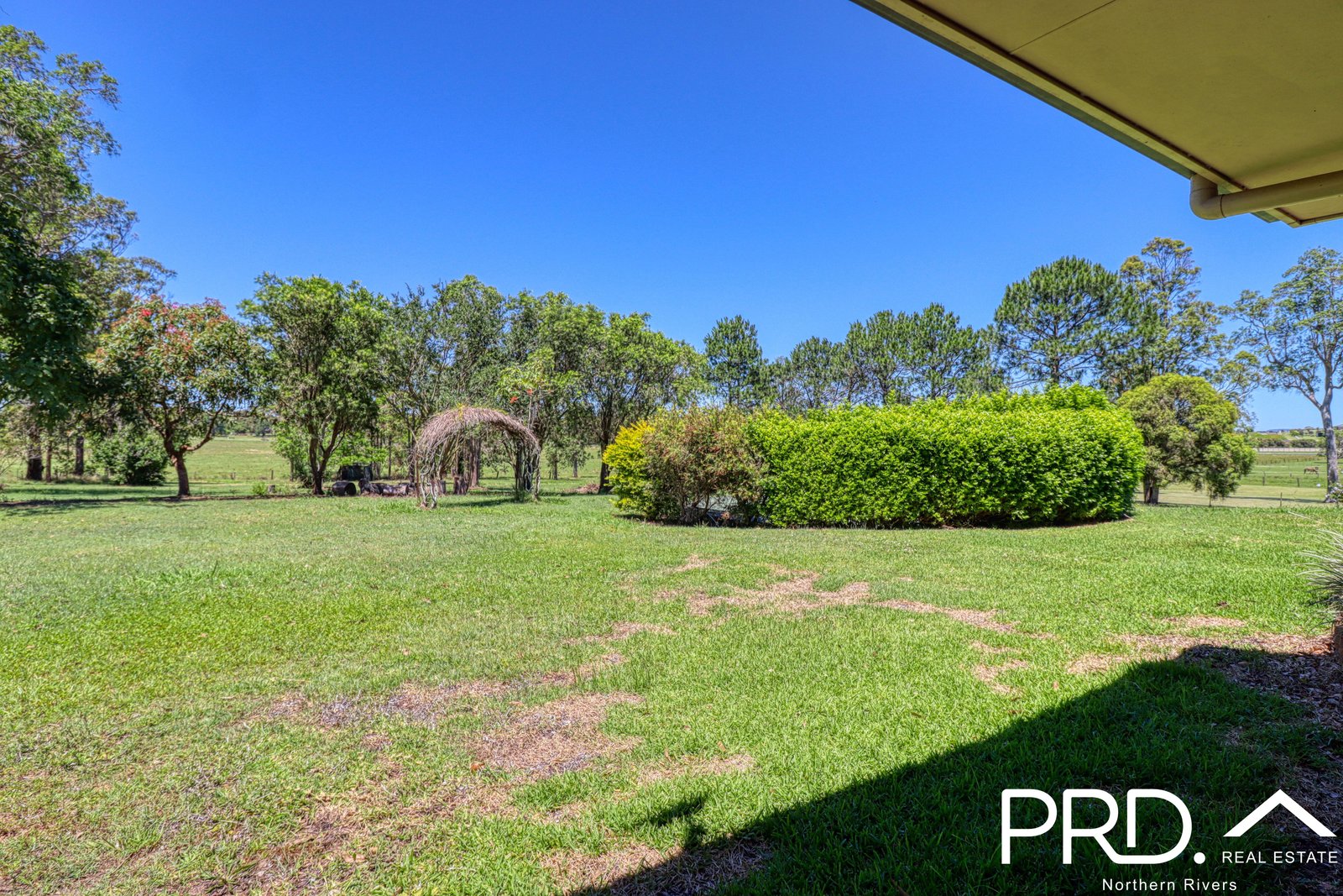8 Forest Grove Road FAIRY HILL 35