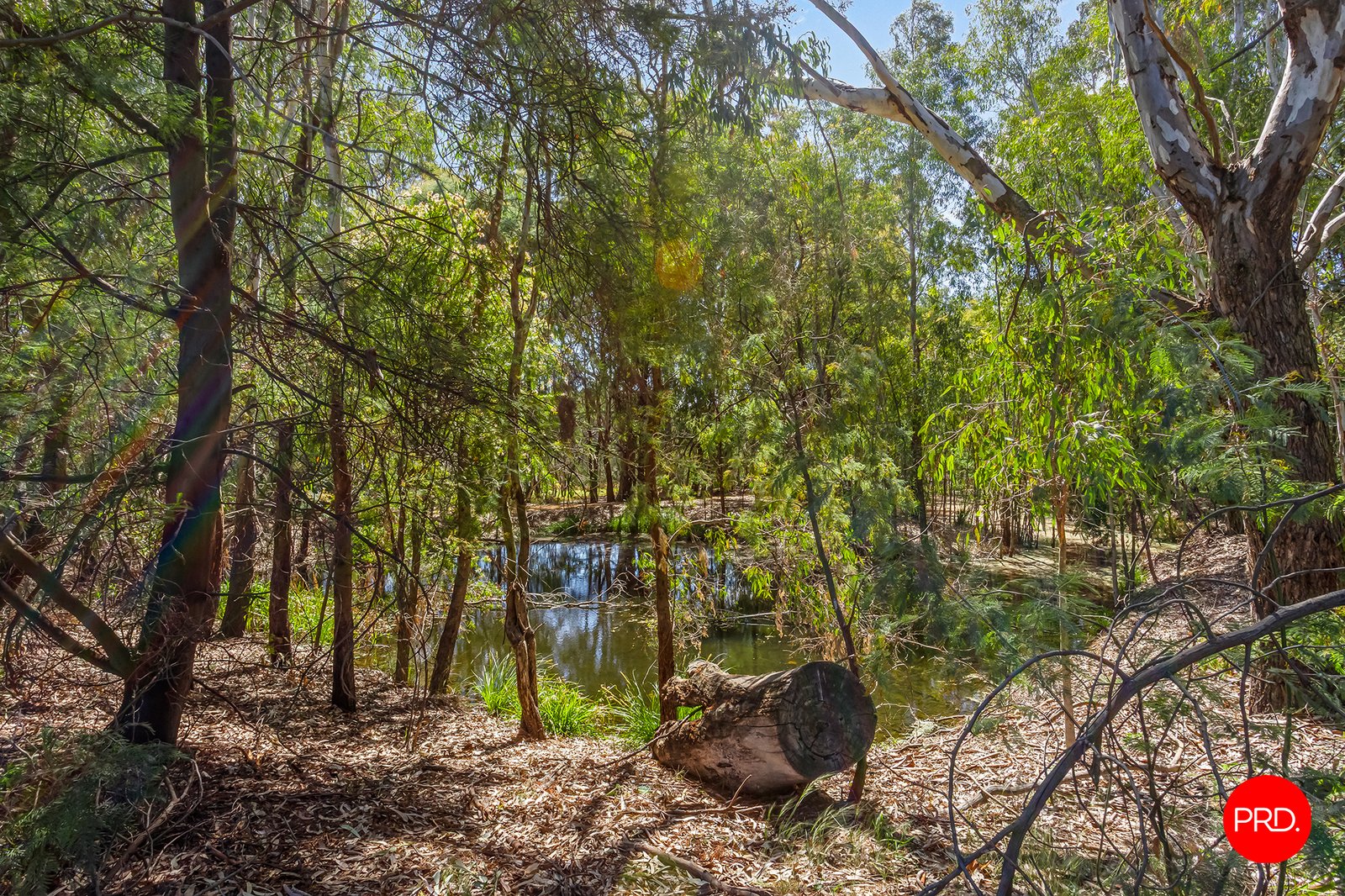 8 Gemmill Crescent MOOROOPNA 5