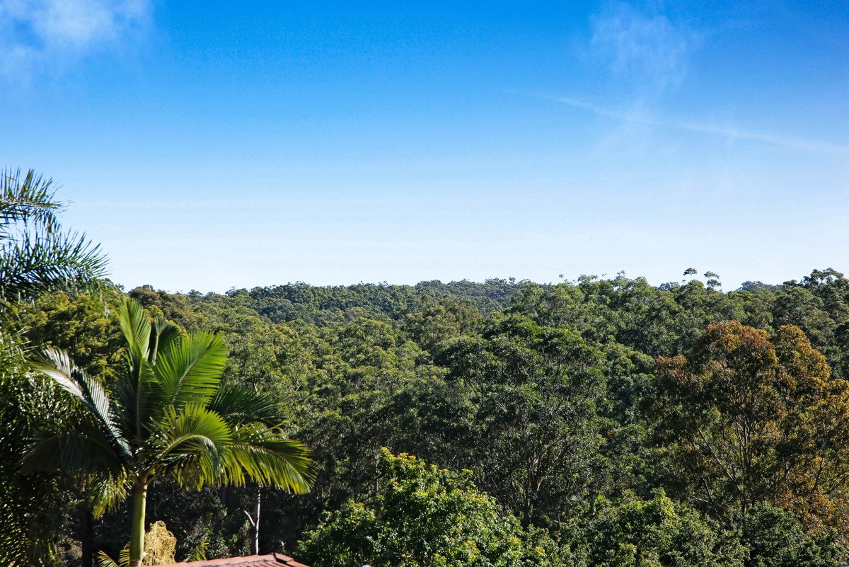 8 Glauca Street Burleigh Heads 11