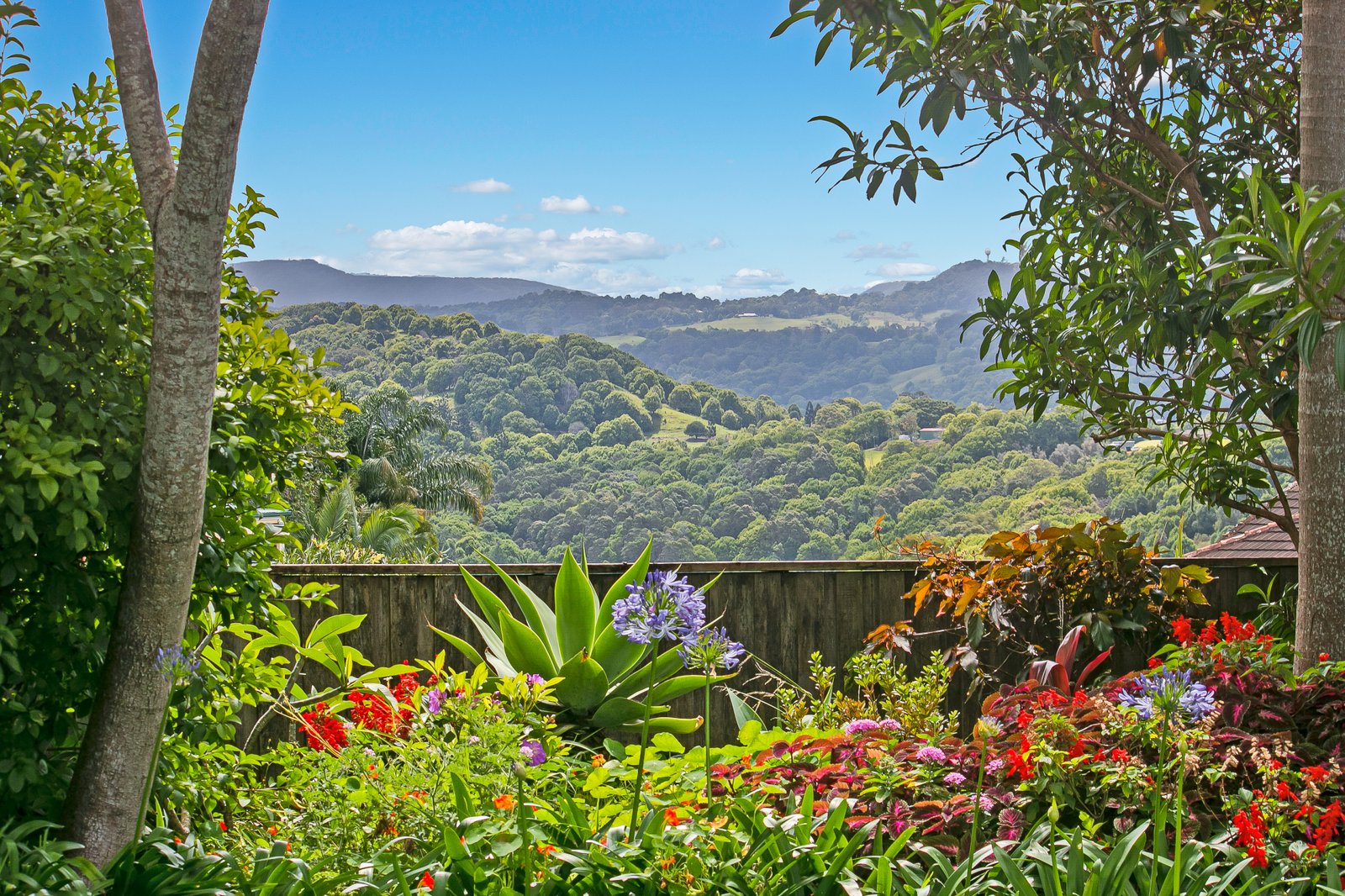 8 Glenbrae Drive TERRANORA 3