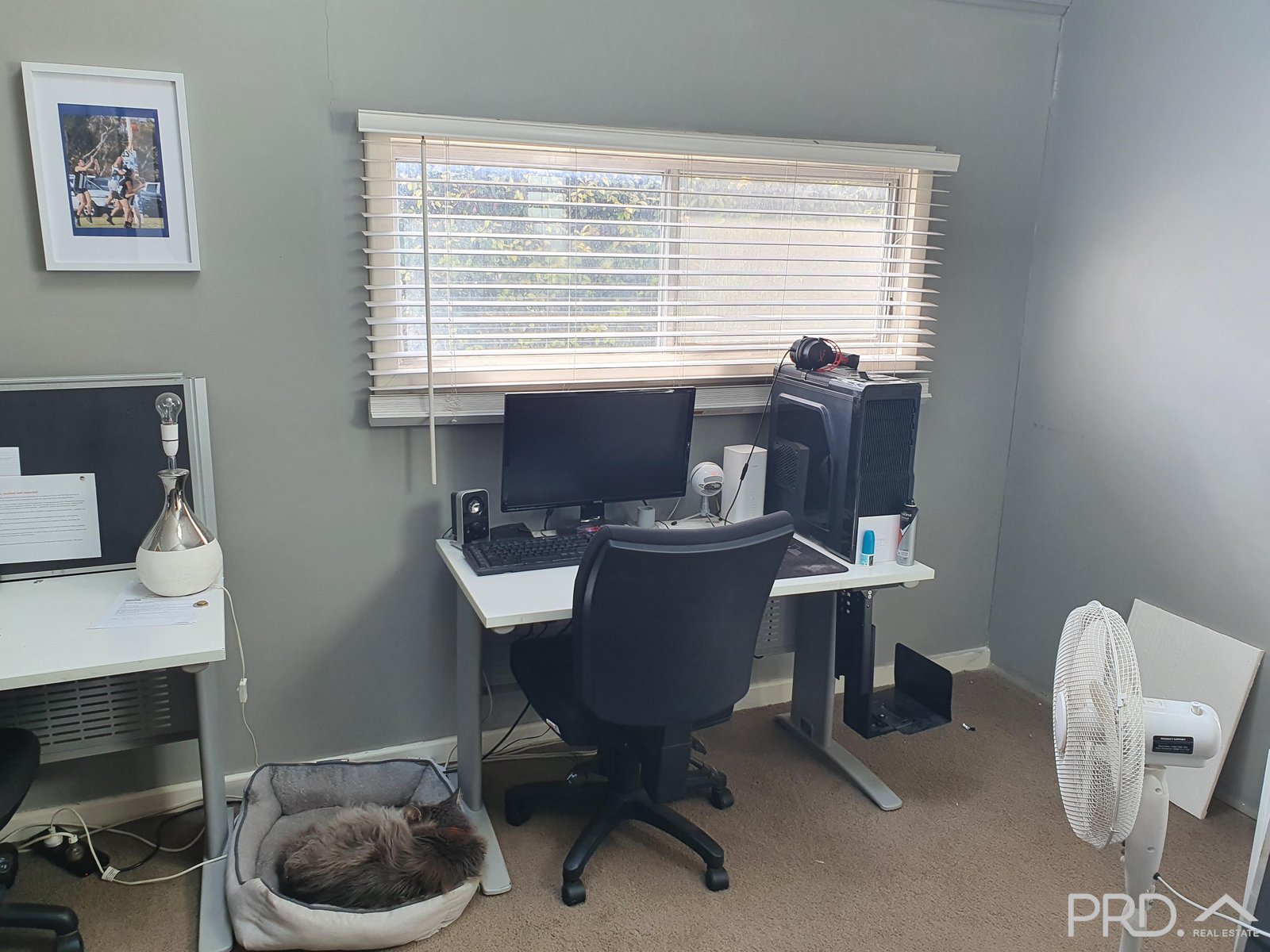 8 Gray Street MURRAYVILLE 21