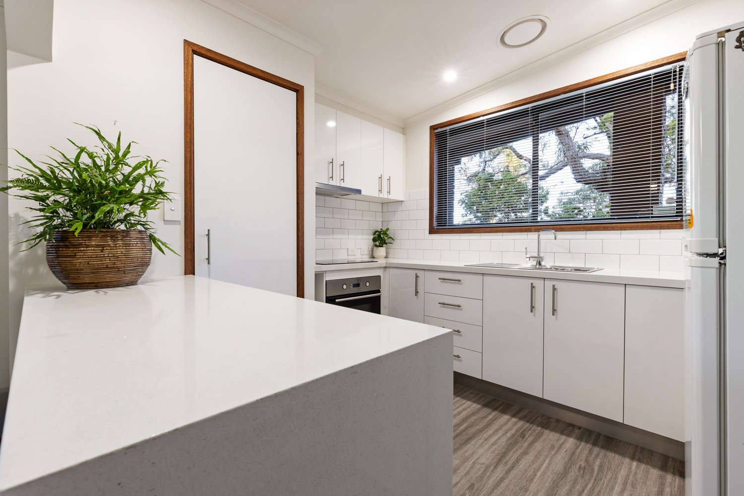 Gallery: 8 Hale Avenue