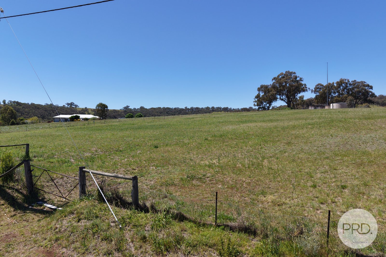 8 Hall Street WILLOW TREE 2