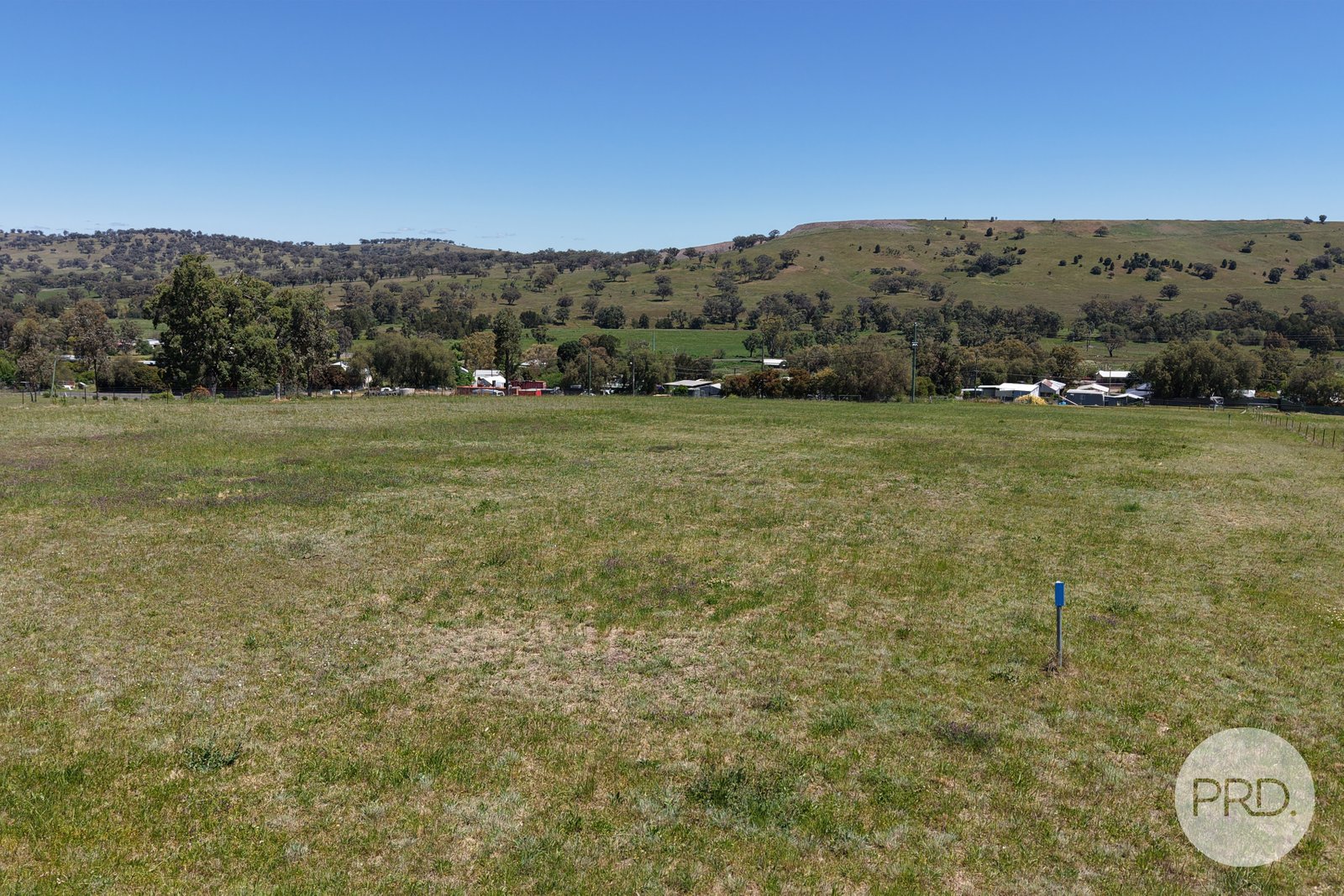 8 Hall Street WILLOW TREE 3