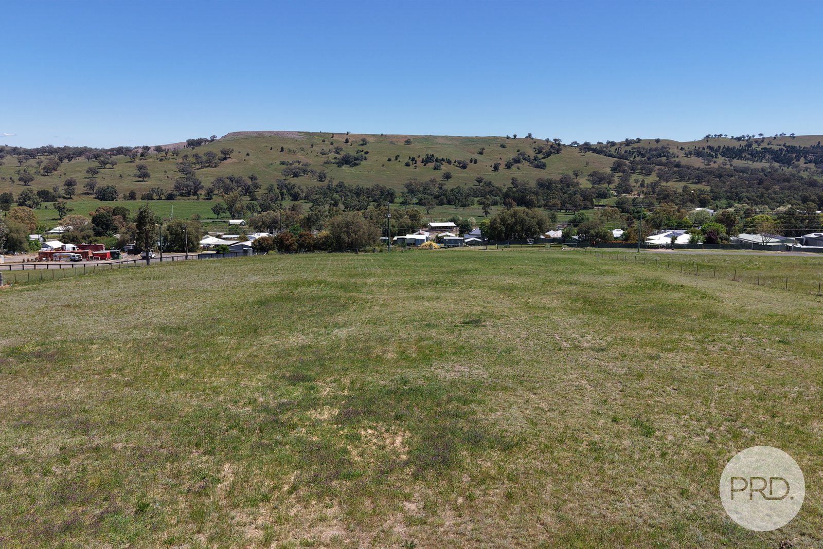 8 Hall Street WILLOW TREE 4