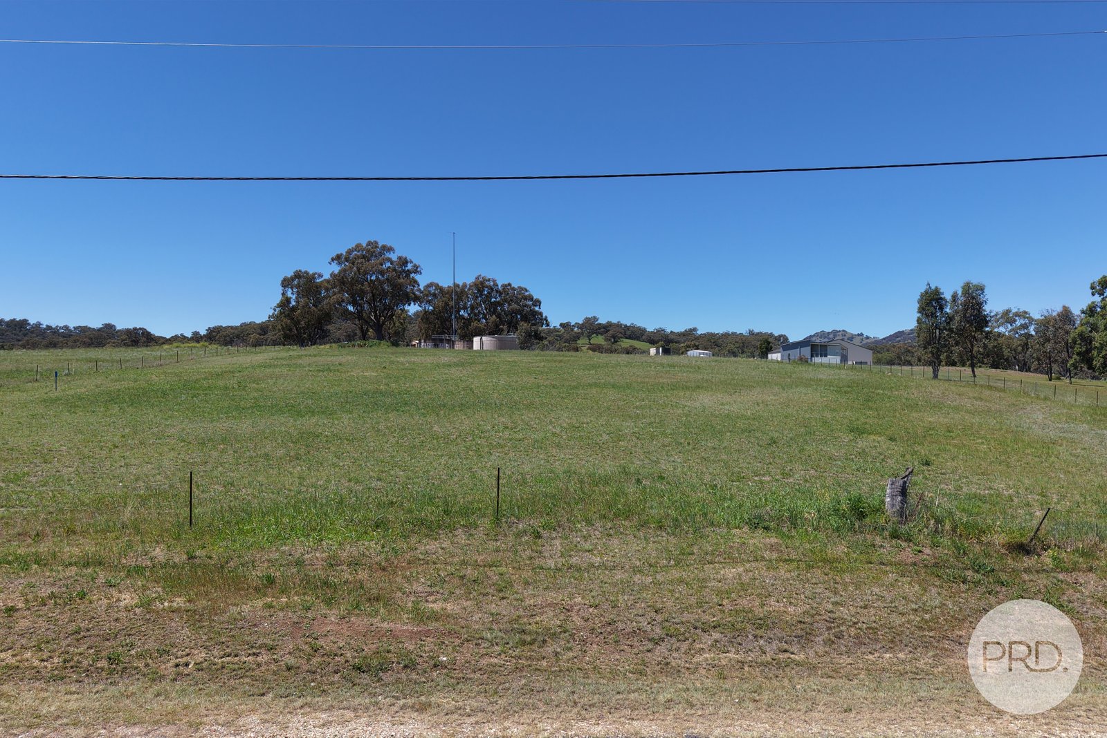 8 Hall Street WILLOW TREE 5