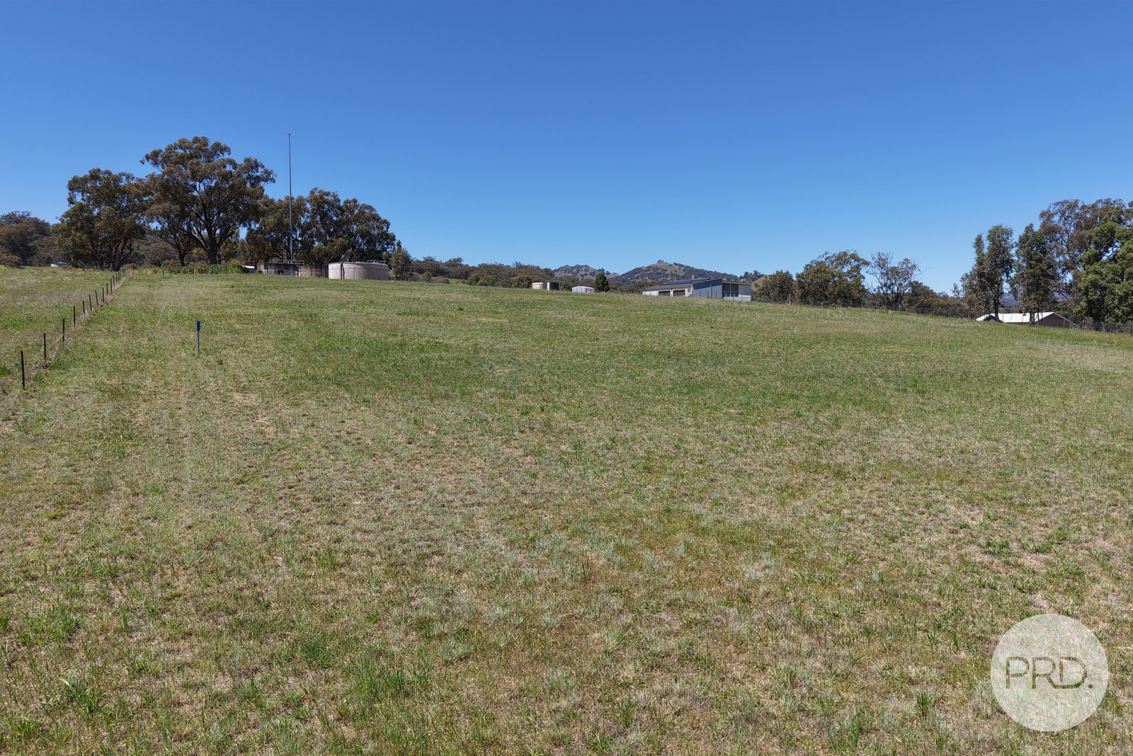 8 Hall Street WILLOW TREE 6