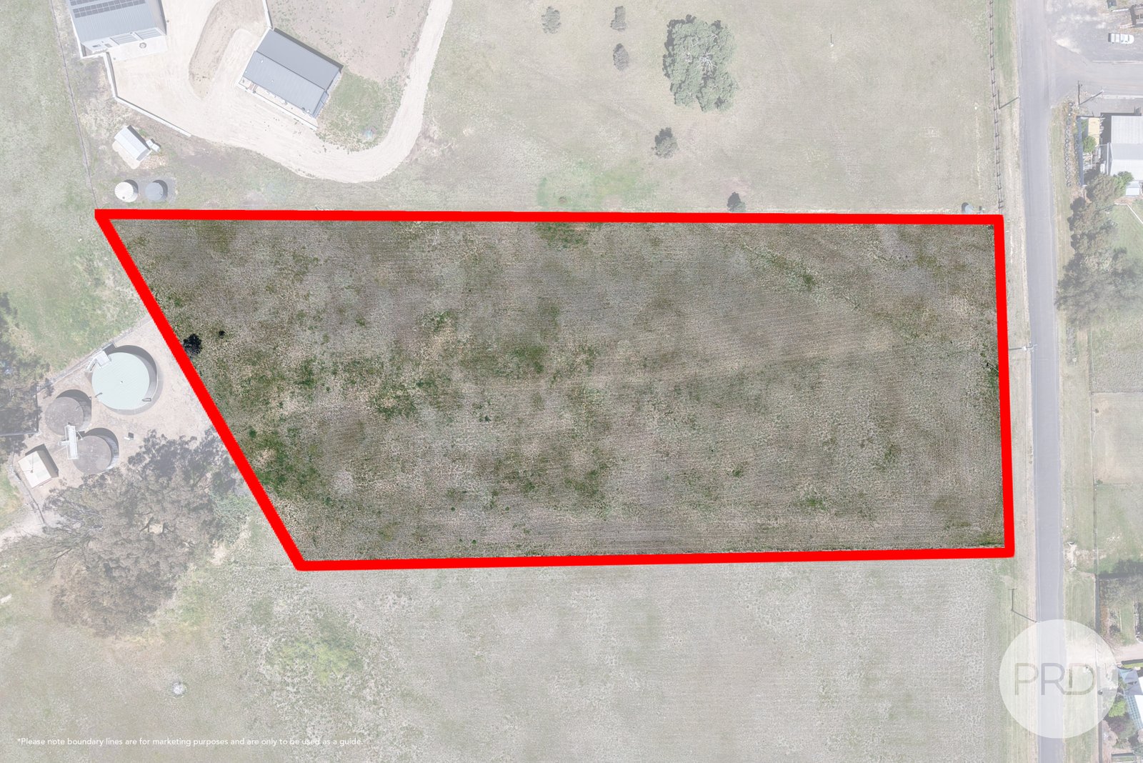 8 Hall Street WILLOW TREE 7