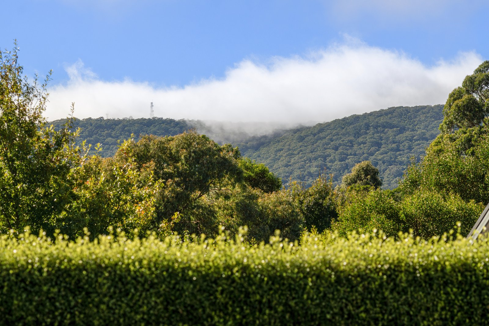 Real Estate and Property in 8 Heffernan Court, Woodend, VIC