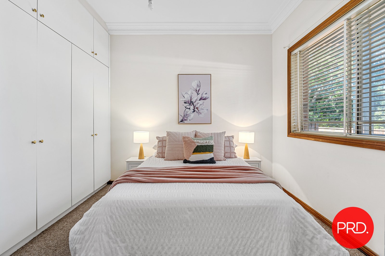 8 Homedale Avenue BEXLEY NORTH 4