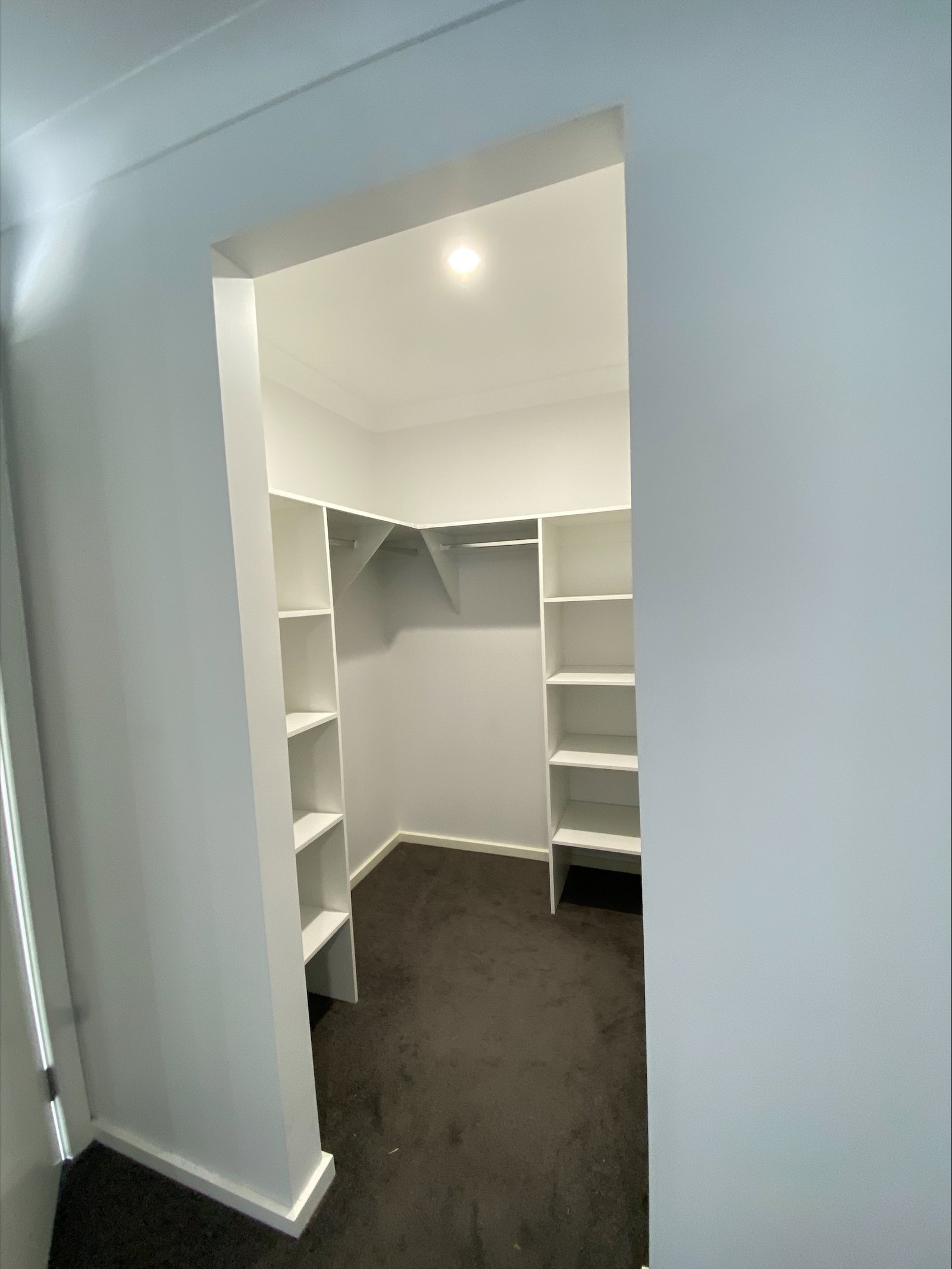 8 Homestead Circuit NORTH TAMWORTH 5