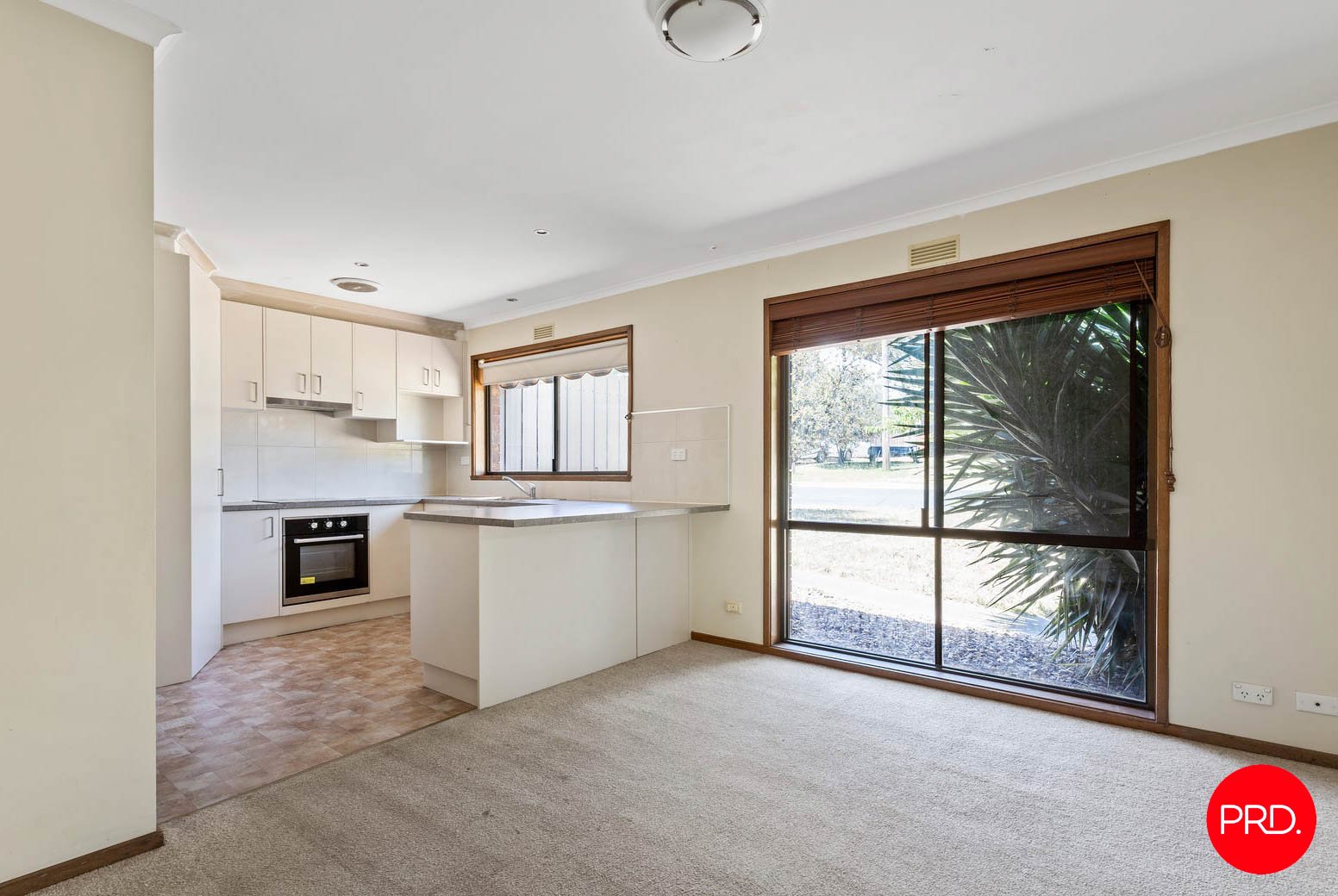 8 Jeffrey Avenue FLORA HILL 3