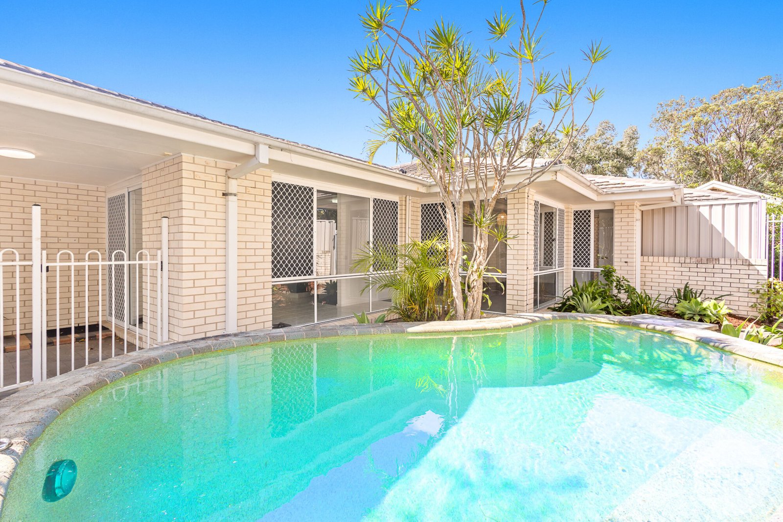 8 Kanimbla Drive SALAMANDER BAY 1