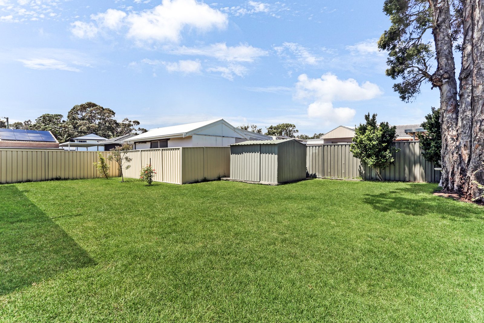 8 Kapooka Avenue DAPTO 12