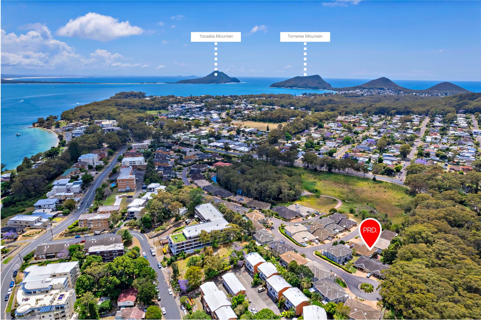 8 Lamandra Crescent NELSON BAY 19