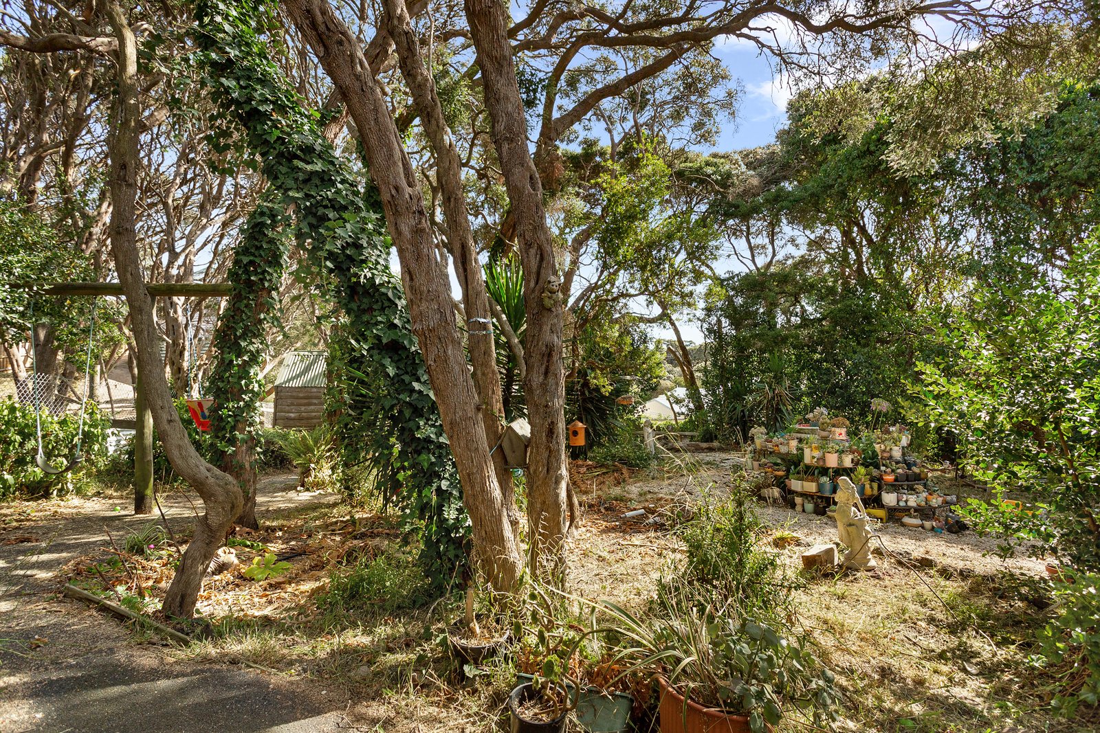 Real Estate and Property in 8 Landra Street, Rye, VIC