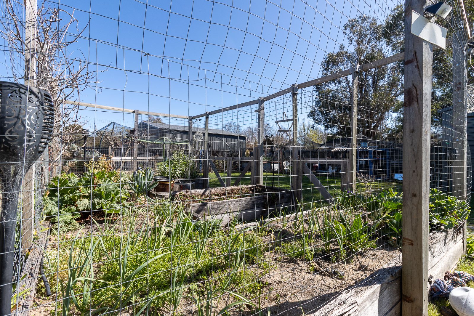 8 Lundie Street BUNGENDORE 26