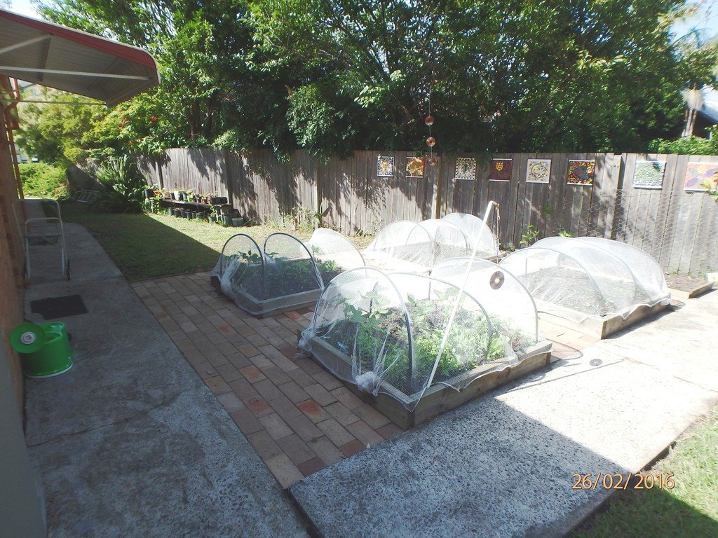 8 Mangrove Close LAKEWOOD 10