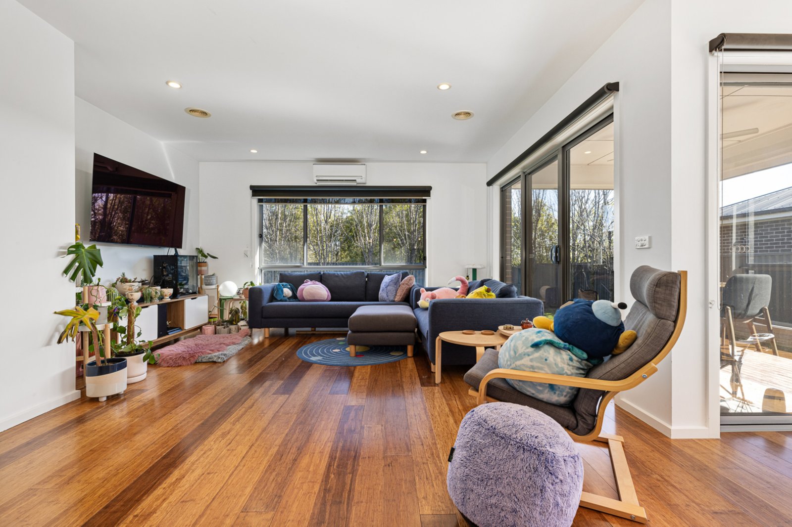 Gallery: 8 McCallum Street