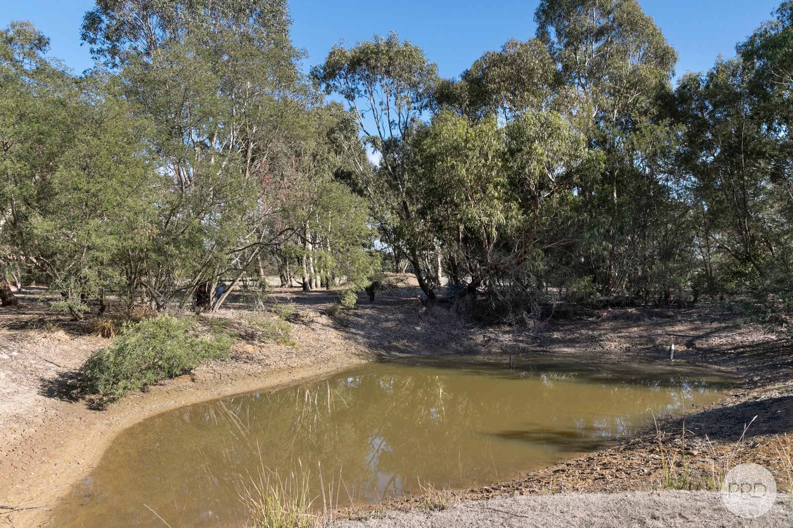 8 McDougall Drive MAGPIE 17