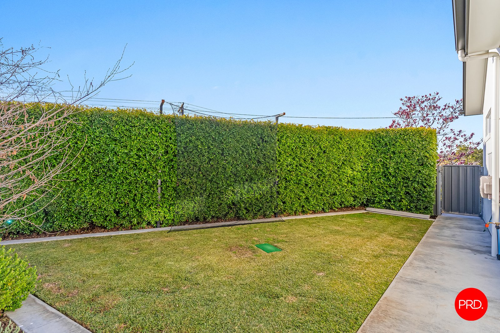 8 McMillan Street KENNINGTON 28