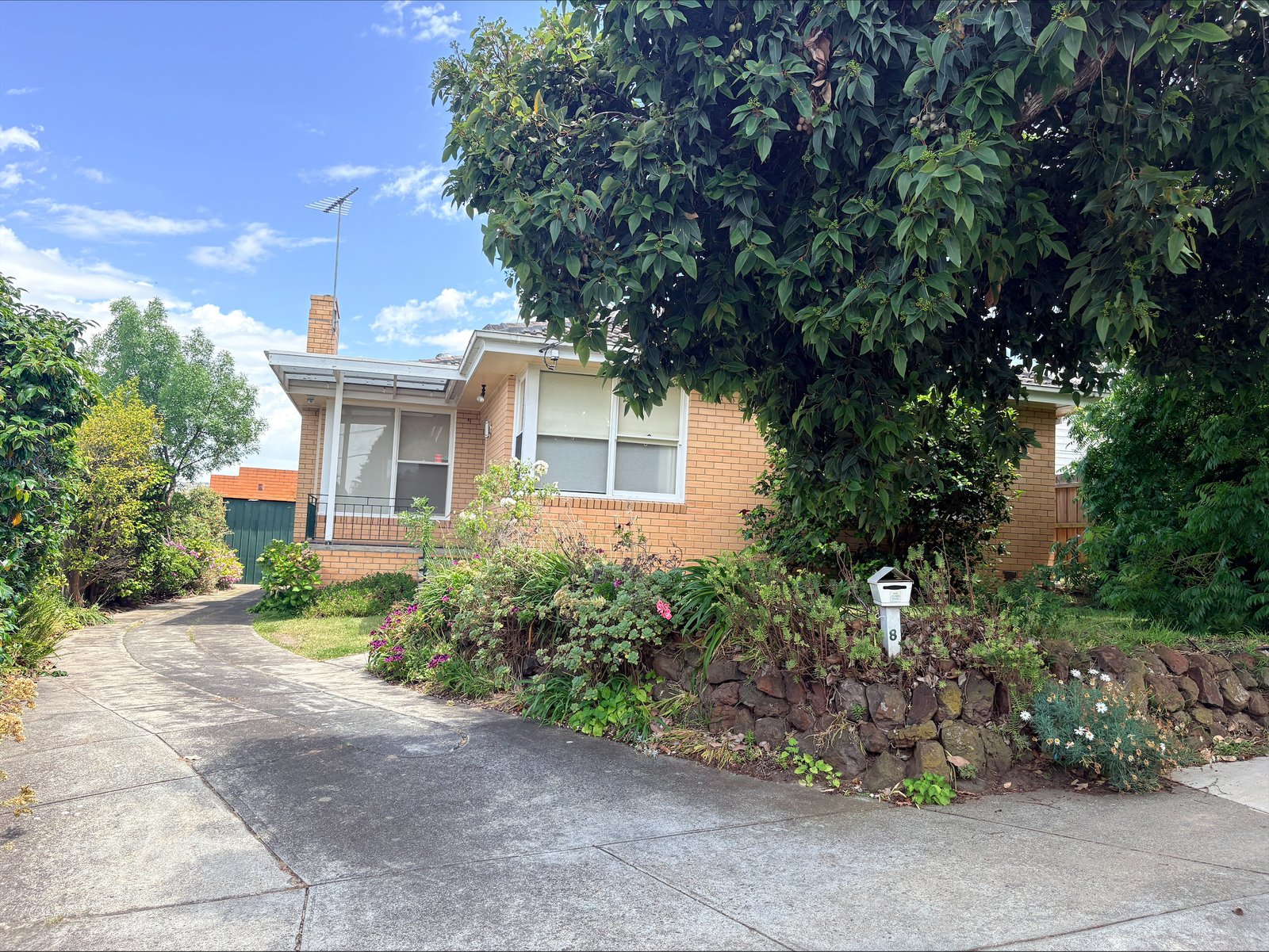Photos: 8 Montague Street