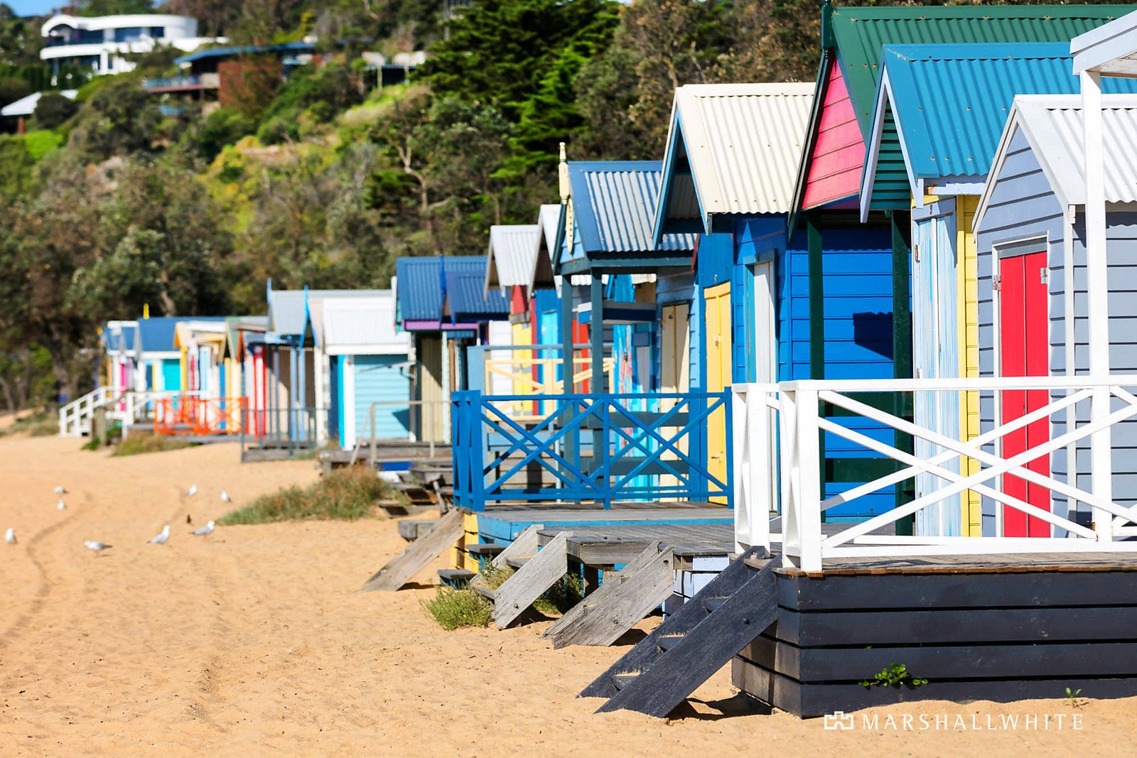 8 Nichols Drive, Mornington, VIC