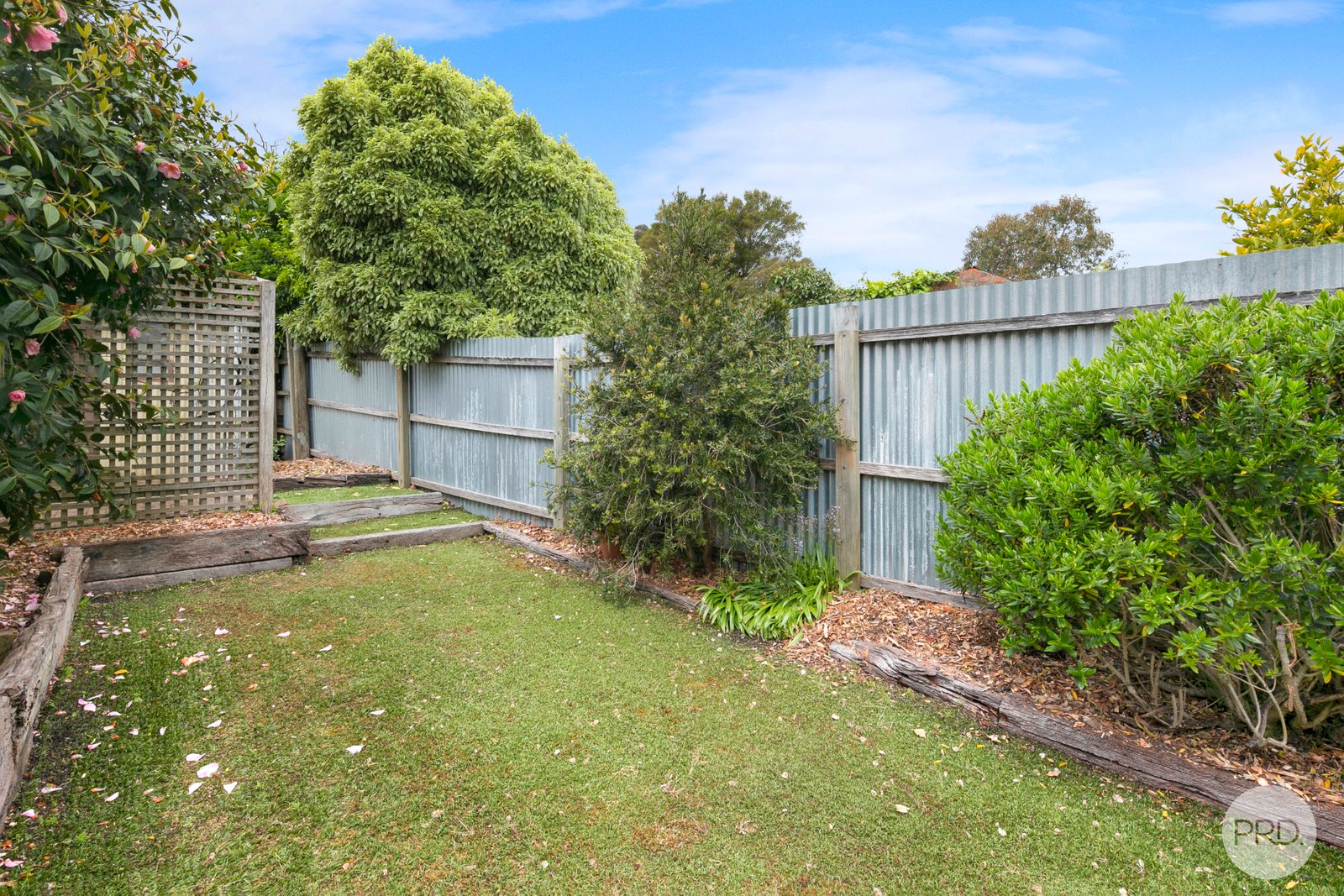 8 Nolan Street SOLDIERS HILL 20