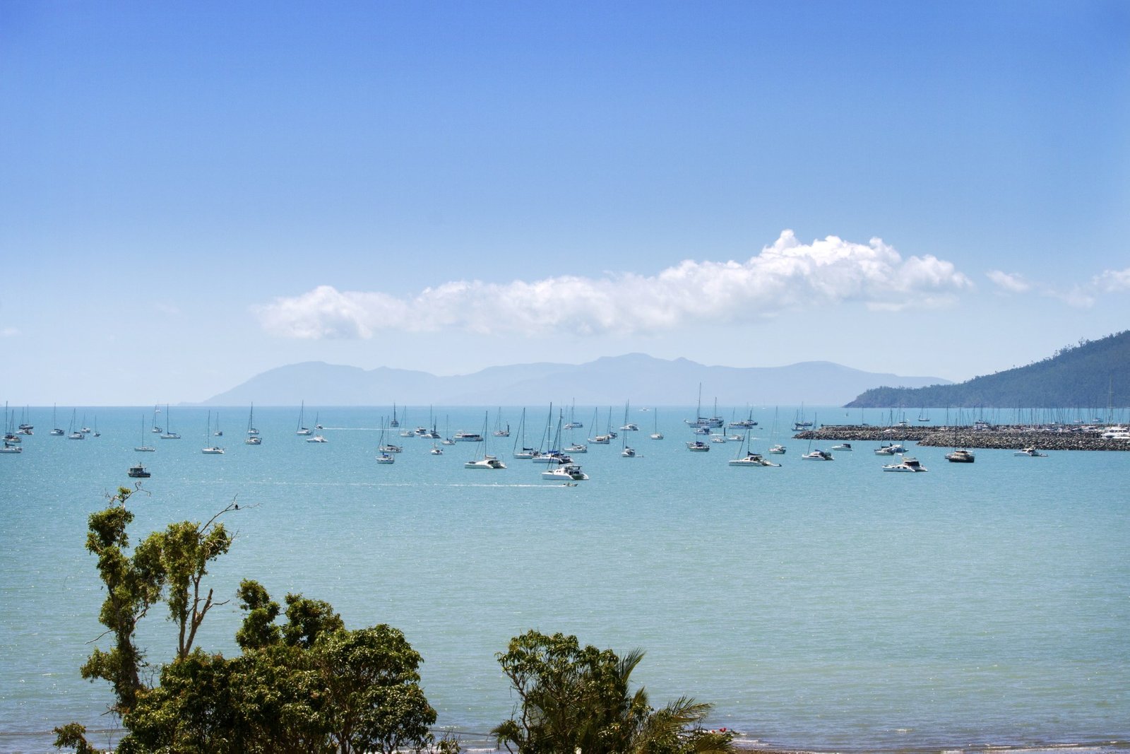 8 Palm Drive CANNONVALE 6