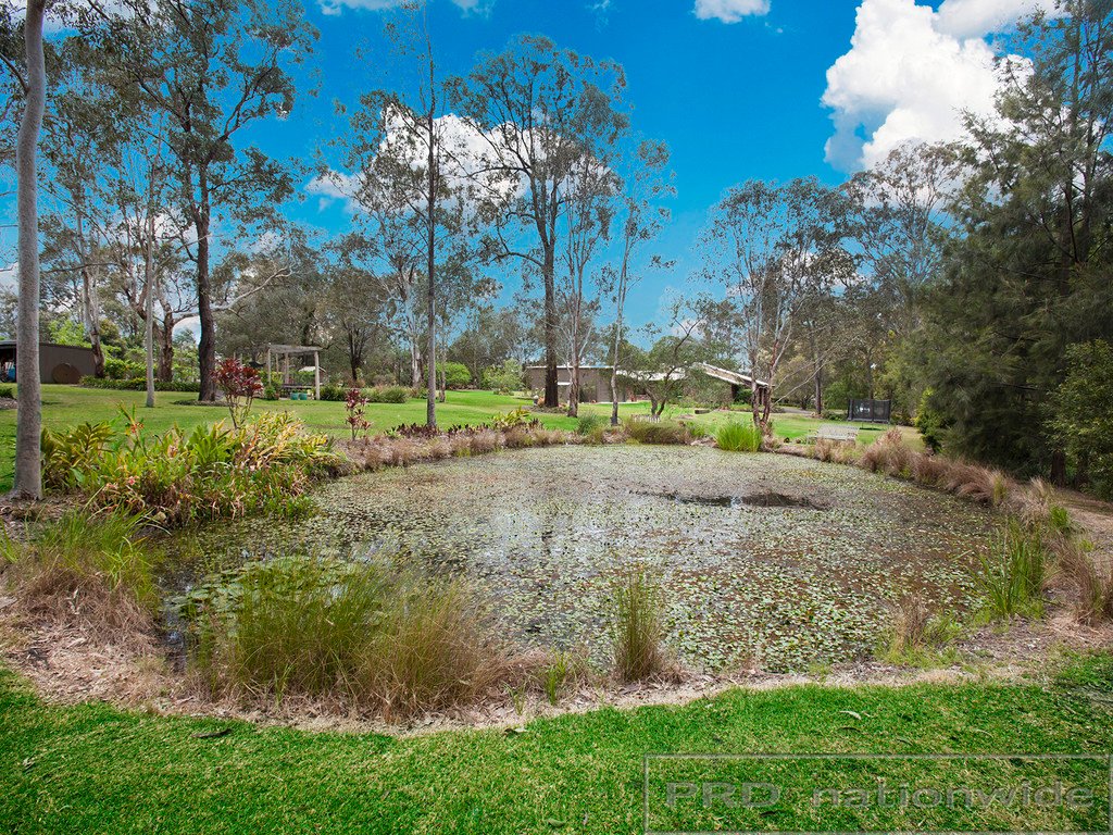 8 Phoenix Close BLACK HILL 16