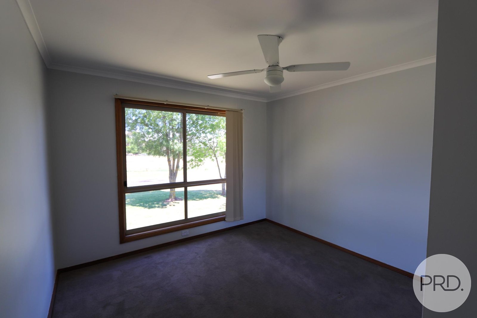 8 Pine Lane TUMBARUMBA 11