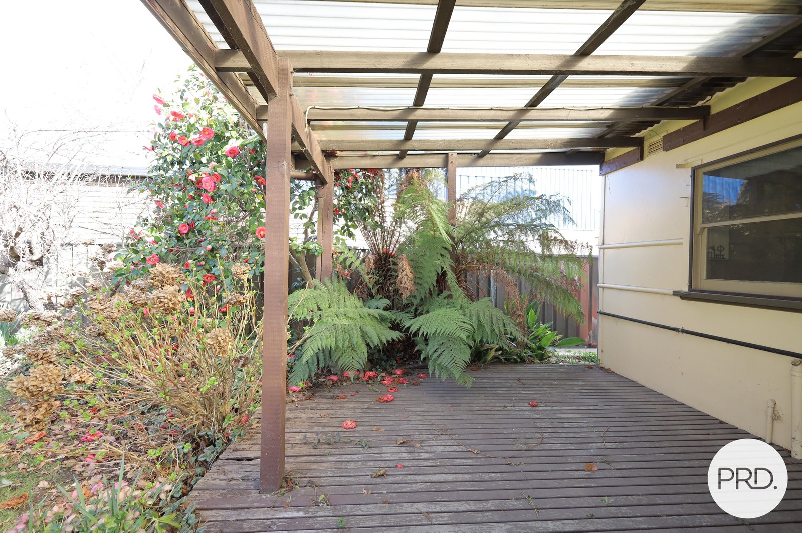 8 Prince Street ORANGE 9