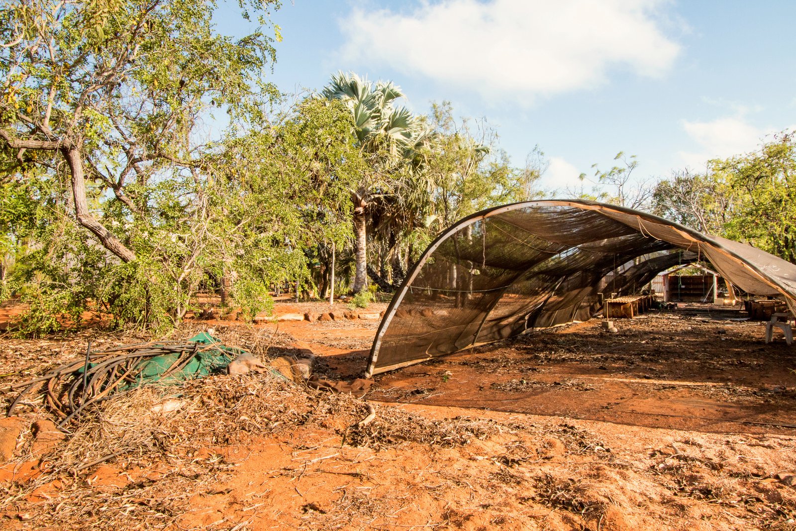 8 Sands Street BILINGURR 14