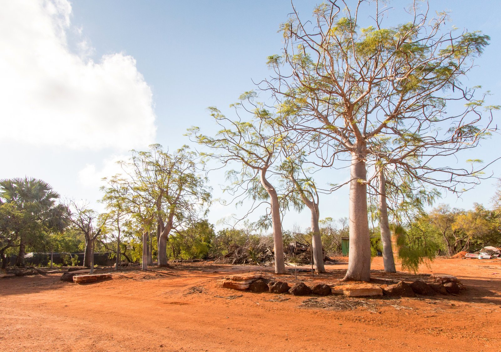 8 Sands Street BILINGURR 28