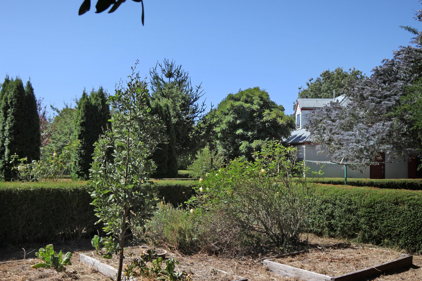 Real Estate and Property in 8 Scotia Place, Woodend, VIC