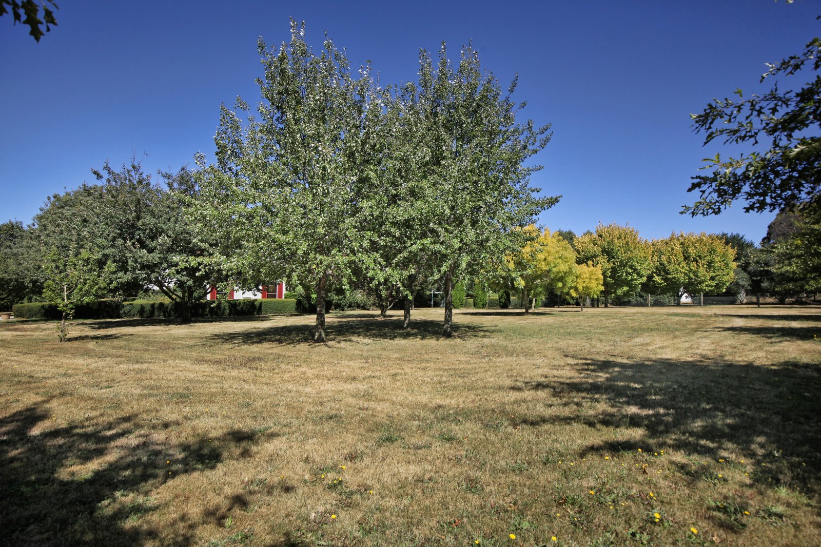 Real Estate and Property in 8 Scotia Place, Woodend, VIC