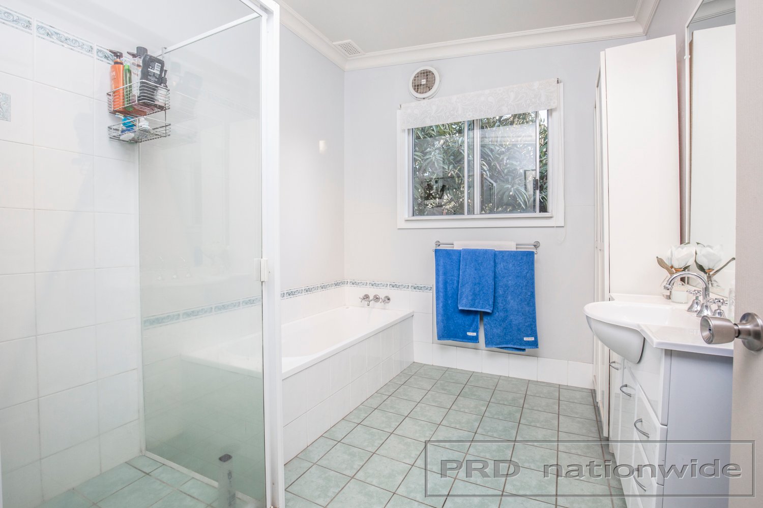 8 Scott Street NORTH ROTHBURY 10