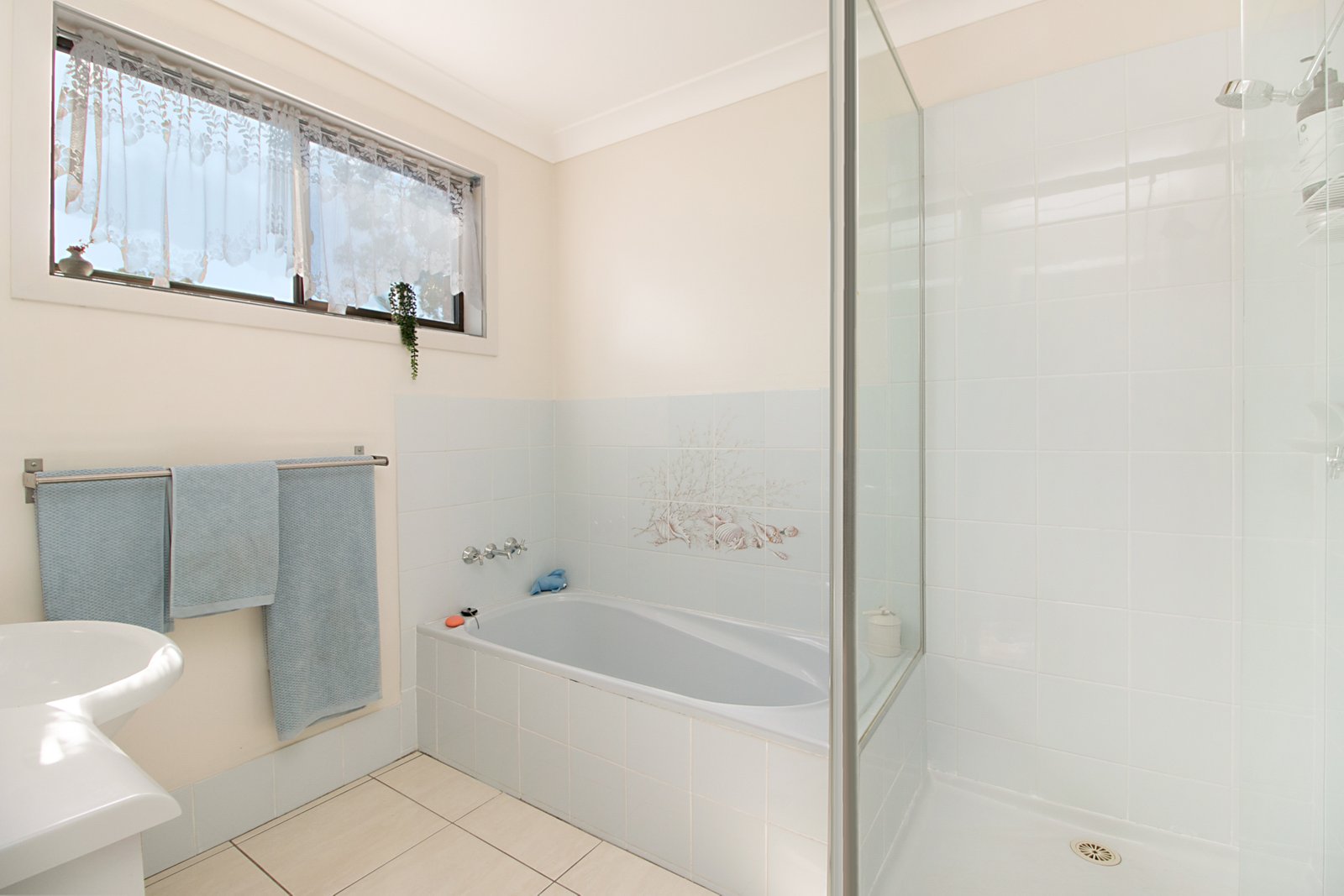 8 Shady Lane BANORA POINT 8