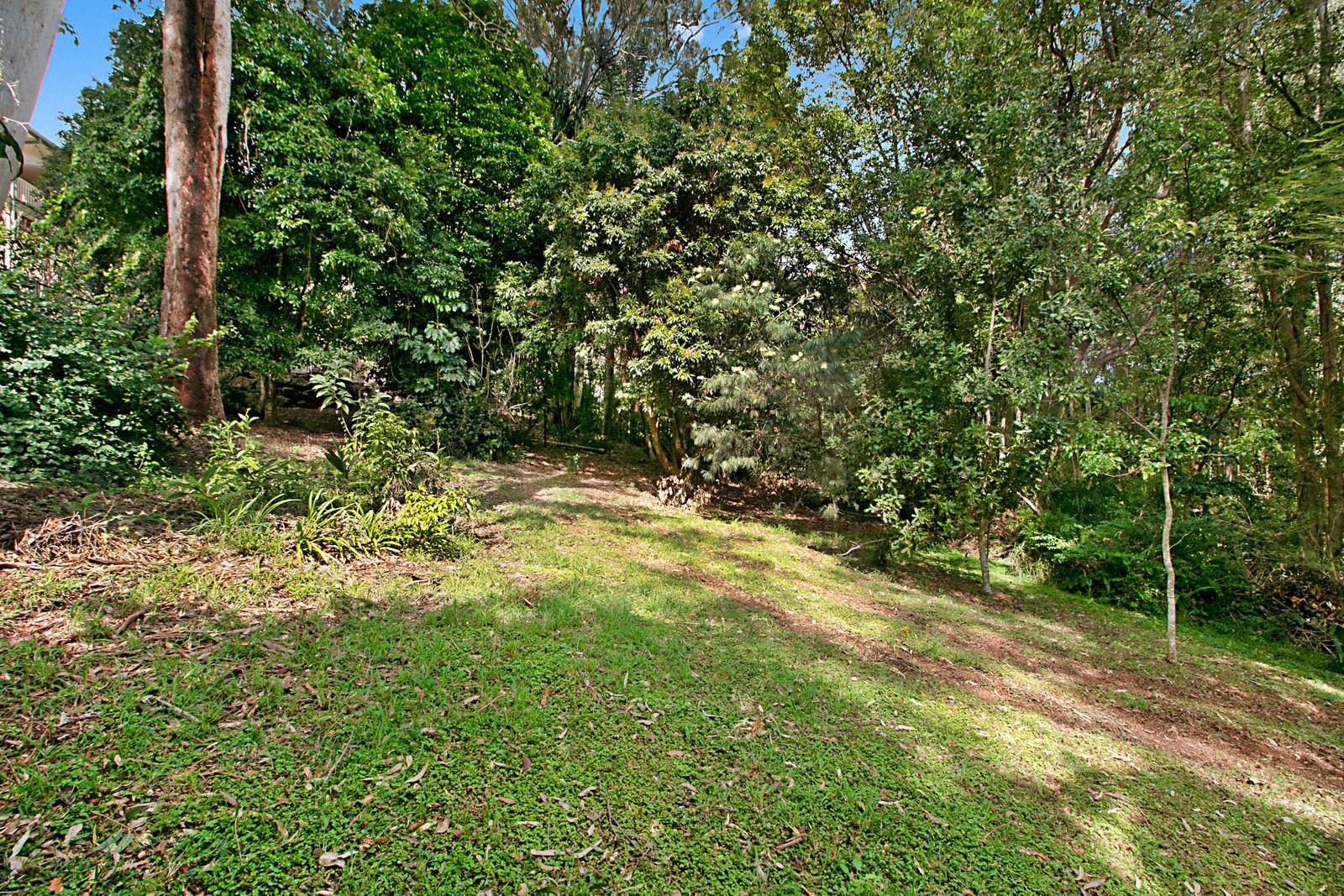 8 Shady Lane BANORA POINT 15