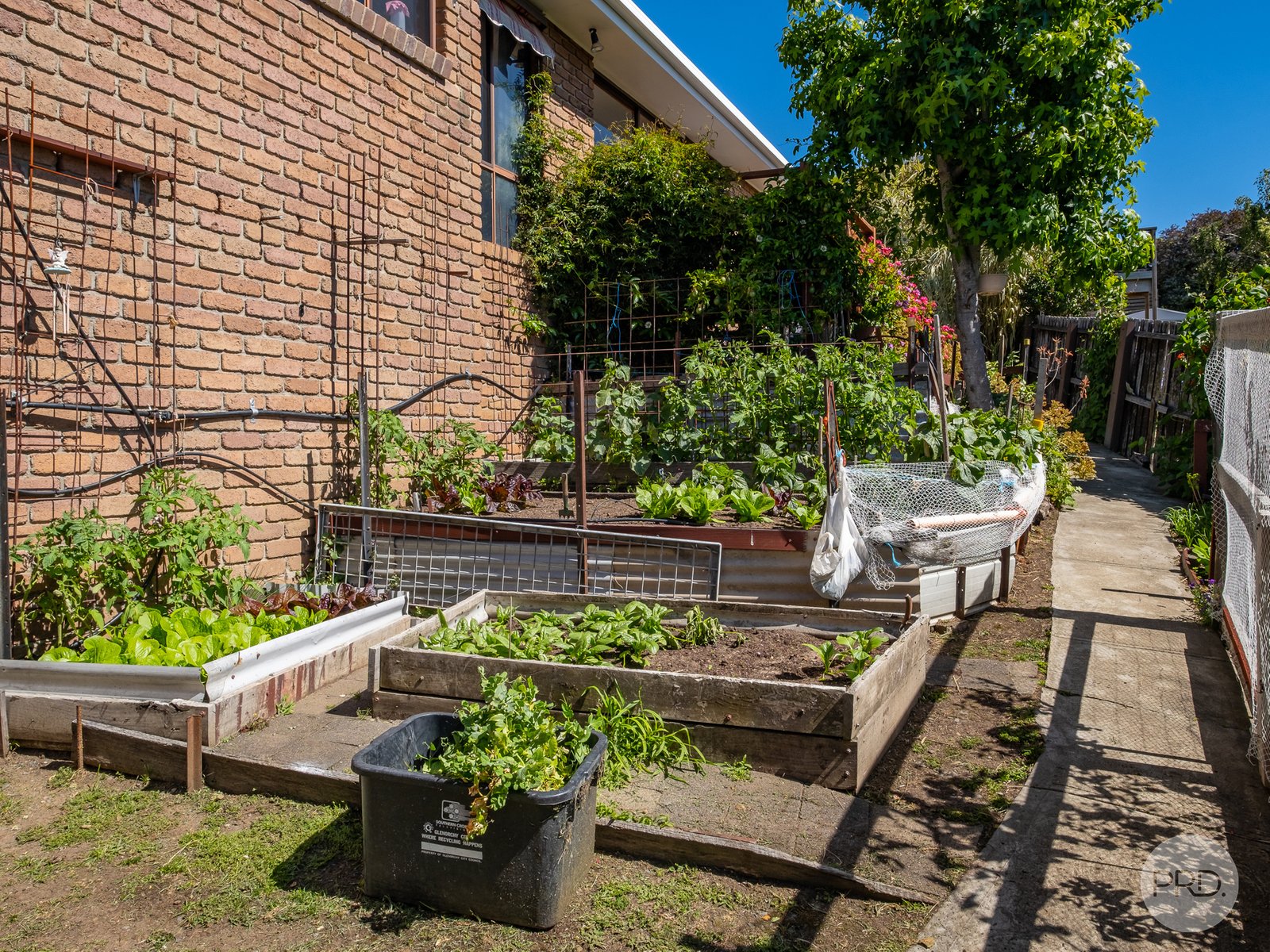 8 Shirley Boulevard LENAH VALLEY 26