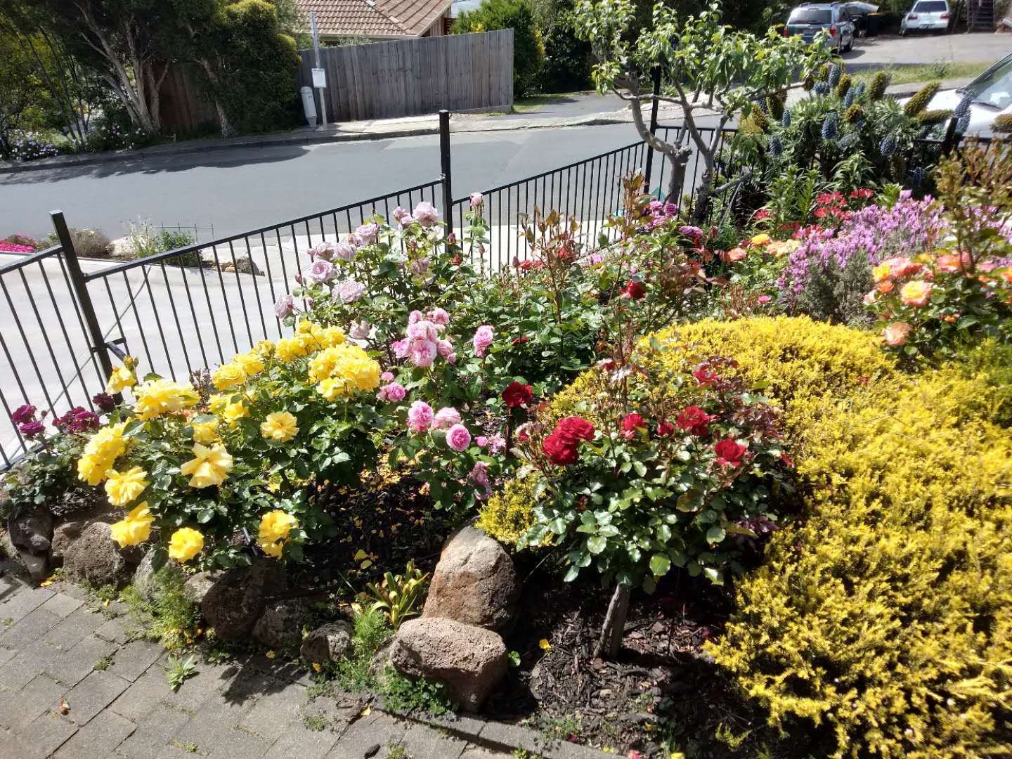 8 Shirley Boulevard LENAH VALLEY 28