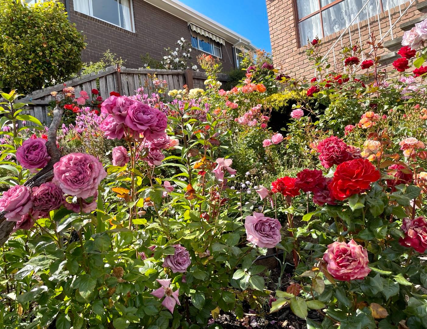 8 Shirley Boulevard LENAH VALLEY 30