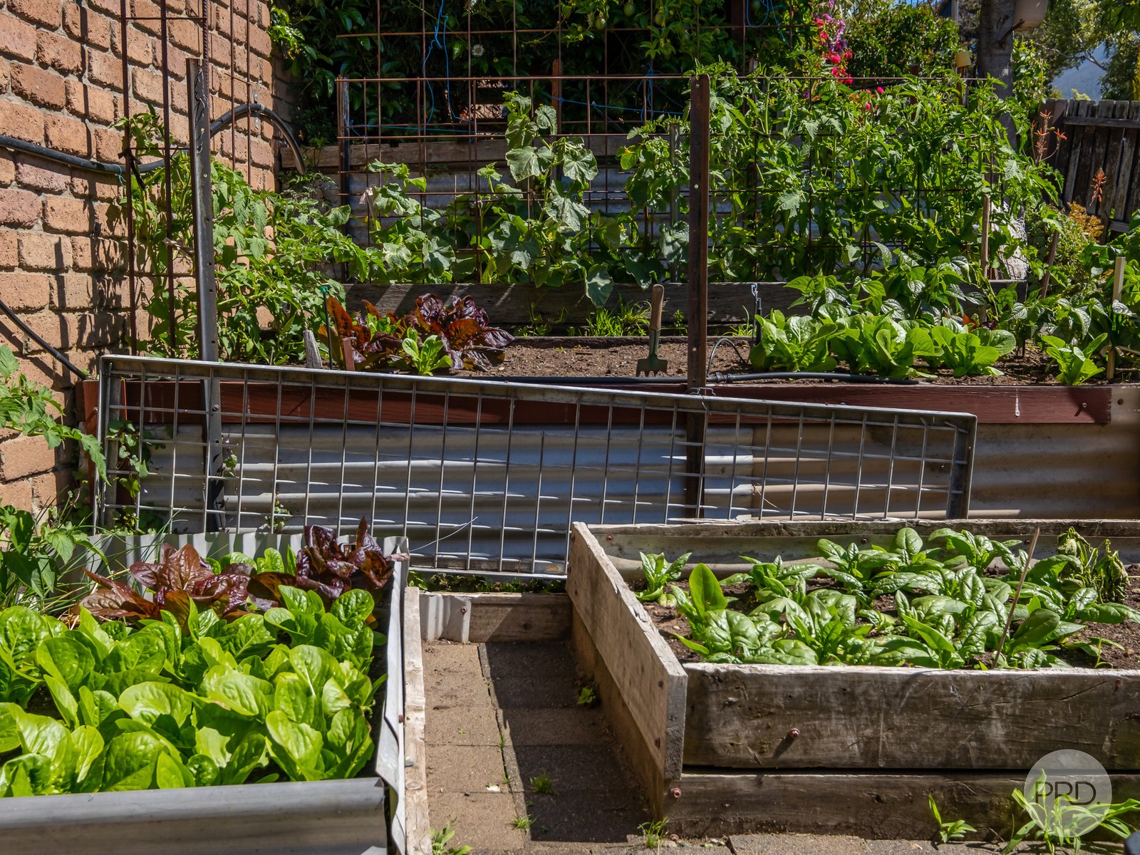 8 Shirley Boulevard LENAH VALLEY 26