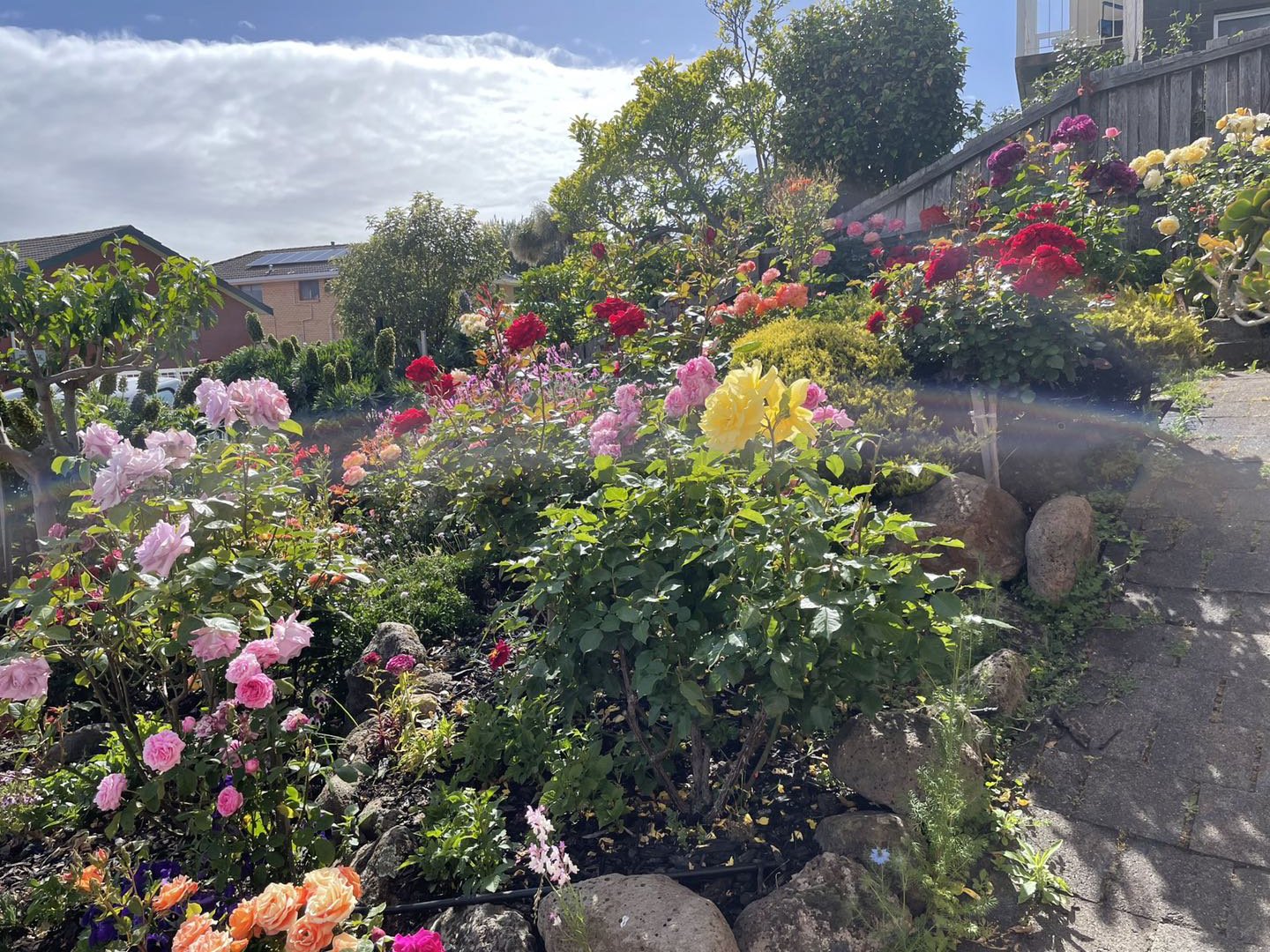 8 Shirley Boulevard LENAH VALLEY 28