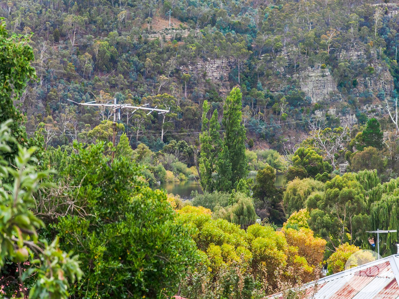 8 Stephen Street NEW NORFOLK 23