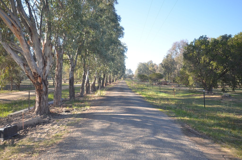 8 Sycamore Road LAKE ALBERT 3