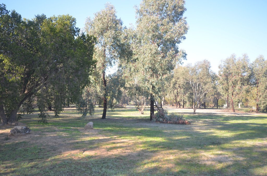 8 Sycamore Road LAKE ALBERT 4