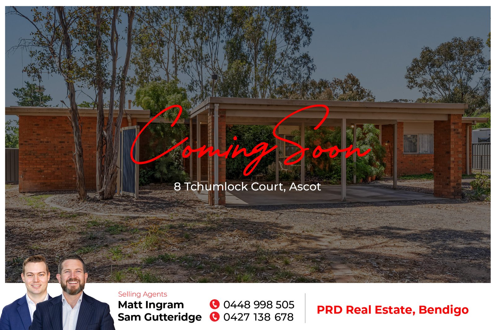 8 Tchumlock Court ASCOT 1