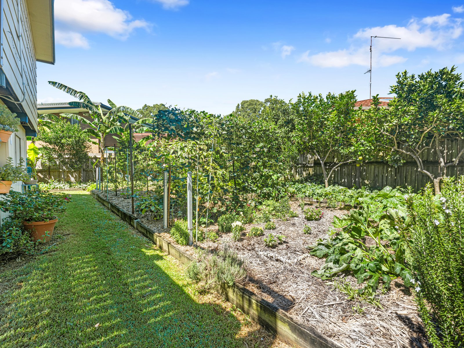 8 Terrace Street CHINDERAH 21